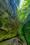 Dismals Canyon