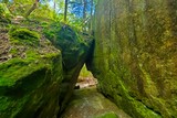 Photos/Images de Dismals Canyon
