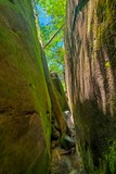 Dismals Canyon