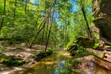 Photos/Images de Dismals Canyon