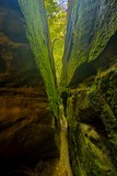 Dismals Canyon