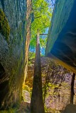 Dismals Canyon