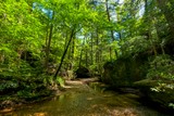Dismals Branch