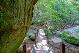 Swinging Bridge