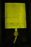 Magna Carta