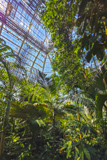 United States Botanic Garden