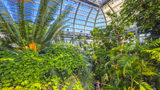 United States Botanic Garden