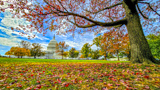 U.S. Capitol Grounds