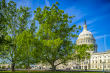 U.S. Capitol Grounds