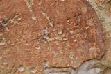 Pétroglyphes - Inscription Rock
