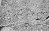 Pétroglyphes - Inscription Rock