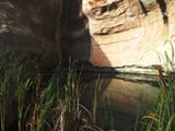 The Pool