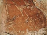 Pétroglyphes - Inscription Rock