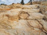 Headland Trail