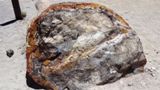 Photos/Images de Escalante Petrified Forest State Park