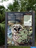 Sur Mahogany Hammock Trail