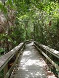 Everglades NP