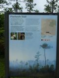 Sur Pinelands Trail