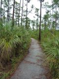 Everglades NP