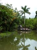 Ferme aux alligators