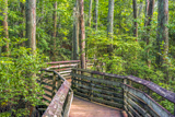 First Landing State Park