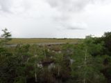 Everglades National Park