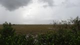Everglades NP