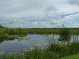 Everglades National Park