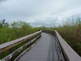 Everglades NP