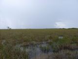 Everglades NP