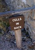 Les cellules sont à l'arrière