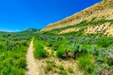 Photos/Images de Fossil Butte National Monument