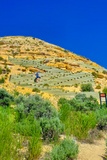 Historic Quarry