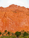 Kissing Camels