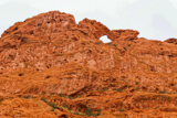 Kissing Camels