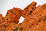 Kissing Camels