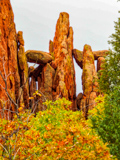 Cathedral Spires