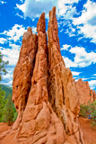Three Graces