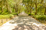 Forsyth Park