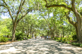 Forsyth Park