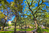 Oglethorpe Square