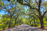 Forsyth Park