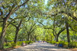 Forsyth Park