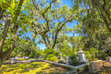 Bonaventure Cemetery