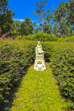 Bonaventure Cemetery