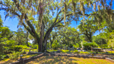 Bonaventure Cemetery
