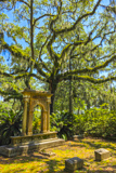 Bonaventure Cemetery