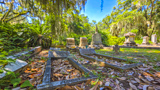 Bonaventure Cemetery