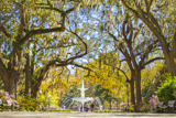 Forsyth Park
