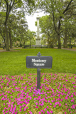 Monterey Square